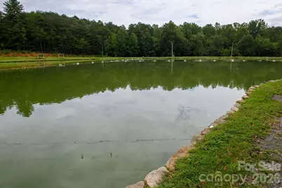 4243 Poplar Lake Drive, Granite Falls, NC 28630 - Photo 43