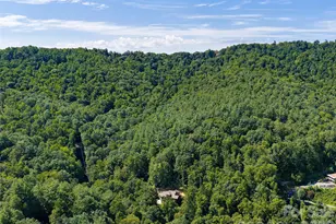 95 Merrills Chase Rd, Asheville, NC 28803 - Photo 43