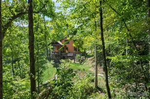 95 Merrills Chase Rd, Asheville, NC 28803 - Photo 41