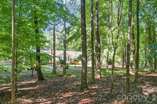 5919 Stone Bridge Ln, Waxhaw, NC 28173 - Photo 15