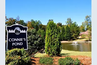 6107 Eisenhower Lane, Indian Trail, NC 28079 - Photo 35