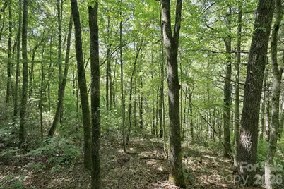 Lot 6 Highlands Gate Drive, Highlands, NC 28741 - Photo 3