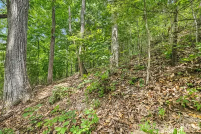 999 Perrion Avenue #18, Weaverville, NC 28787 - Photo 23