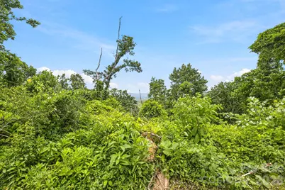 999 Perrion Avenue #18, Weaverville, NC 28787 - Photo 31