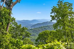 999 Perrion Ave, Weaverville, NC 28787 - Photo 1