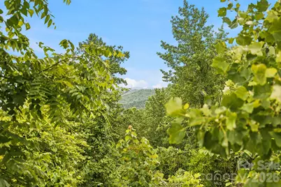 999 Perrion Avenue #18, Weaverville, NC 28787 - Photo 29