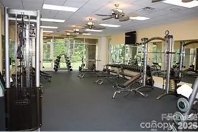 20142 Dovekie Lane, Indian Land, SC 29707 - Photo 33
