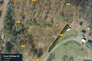 0 Forest Dellinger Rd, Bessemer City, NC 28016 - Photo 1