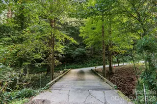 16 Wits End Way, Waynesville, NC 28785 - Photo 29