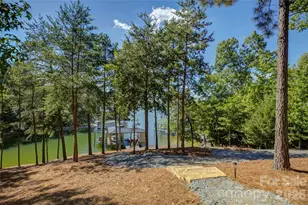 17822 Wilbanks Dr, Charlotte, NC 28278 - Photo 39