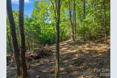 130 Summit Rise Road #9, Pisgah Forest, NC 28768 - Photo 11
