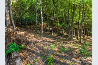 130 Summit Rise Road #9, Pisgah Forest, NC 28768 - Photo 9