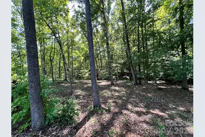 Vac Brightwood Court #81, Norwood, NC 28128 - Photo 9