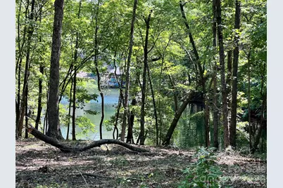 Vac Brightwood Court #81, Norwood, NC 28128 - Photo 7