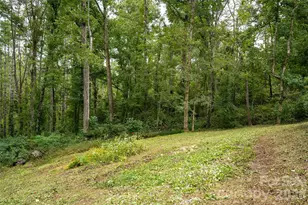 93 White Pine Dr, Fletcher, NC 28732 - Photo 45