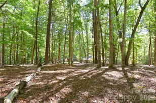 39 Maynard Rd, Candler, NC 28715 - Photo 37