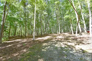 39 Maynard Rd, Candler, NC 28715 - Photo 43