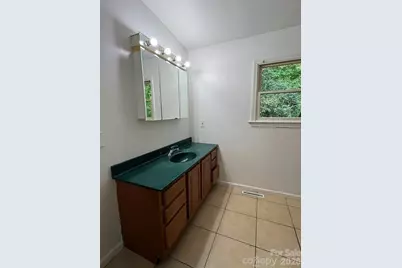 20 Pheasant Run Road, Brevard, NC 28712 - Photo 11