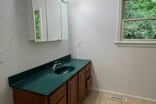 20 Pheasant Run Rd, Brevard, NC 28712 - Photo 11
