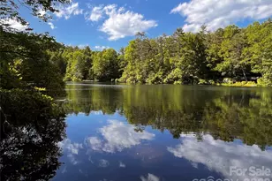 20 Pheasant Run Rd, Brevard, NC 28712 - Photo 21