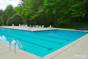 20 Pheasant Run Rd, Brevard, NC 28712 - Photo 23