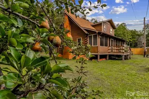 3206 Fork Mountain Rd, Bakersville, NC 28705 - Photo 3