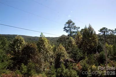 Lot 25 Round Mountain Road #25, Brevard, NC 28712 - Photo 3