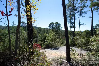 Lot 25 Round Mountain Road #25, Brevard, NC 28712 - Photo 11