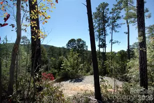 Lot 25 Round Mountain Rd, Brevard, NC 28712 - Photo 1