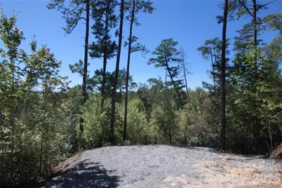Lot 25 Round Mountain Road #25, Brevard, NC 28712 - Photo 5