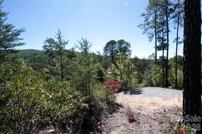 Lot 25 Round Mountain Road #25, Brevard, NC 28712 - Photo 9
