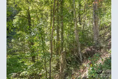 00 McNary Drive, Clyde, NC 28721 - Photo 9