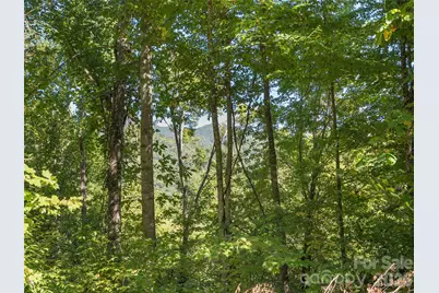 00 McNary Drive, Clyde, NC 28721 - Photo 11