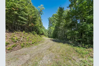 00 McNary Drive, Clyde, NC 28721 - Photo 19