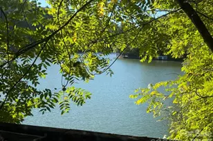 144 Conroy Ct, Lake Lure, NC 28746 - Photo 3