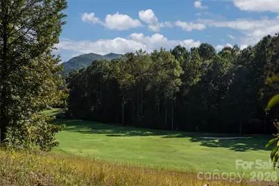 1989 White Tree Trail, Arden, NC 28704 - Photo 47