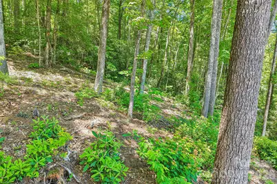 127 Short Road, Cashiers, NC 28717 - Photo 27