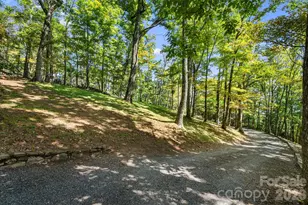 342 Granny Lewis Ln, Mars Hill, NC 28754 - Photo 37