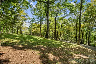 342 Granny Lewis Lane, Mars Hill, NC 28754 - Photo 39