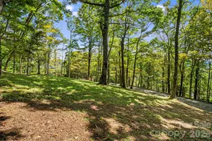 342 Granny Lewis Ln, Mars Hill, NC 28754 - Photo 39