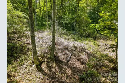0 Eagles Nest Road #5, Waynesville, NC 28786 - Photo 11