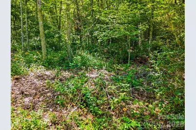 0 Eagles Nest Road #5, Waynesville, NC 28786 - Photo 9