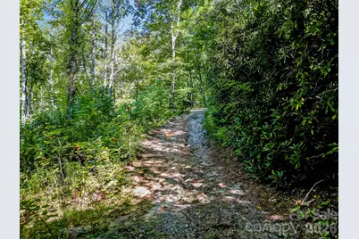 172 Rocky Top Ridge Drive, Fletcher, NC 28732 - Photo 9