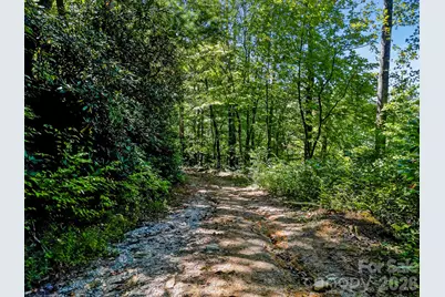 172 Rocky Top Ridge Drive, Fletcher, NC 28732 - Photo 33