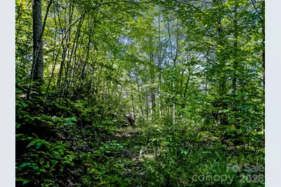172 Rocky Top Ridge Drive, Fletcher, NC 28732 - Photo 29