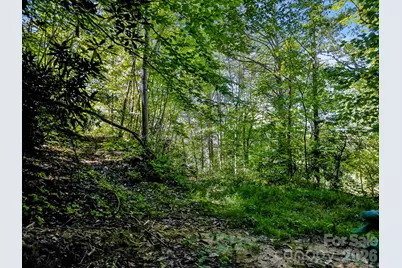 172 Rocky Top Ridge Drive, Fletcher, NC 28732 - Photo 27