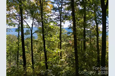 172 Clock Crest Drive, Pisgah Forest, NC 28768 - Photo 3