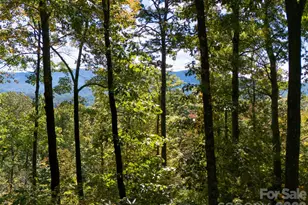172 Clock Crest Dr, Pisgah Forest, NC 28768 - Photo 3