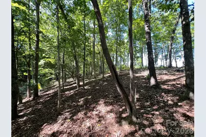 Vac Brightwood Court #80, Norwood, NC 28128 - Photo 9