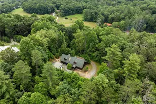 213 Big Valley Rd, Pisgah Forest, NC 28768 - Photo 9